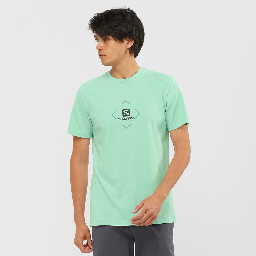 SALOMON SALOMON COTTON M Philippines - Men's Tee Shirt - Mint | 704582-JRK